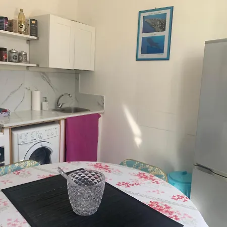 Puravida * アンツィオ